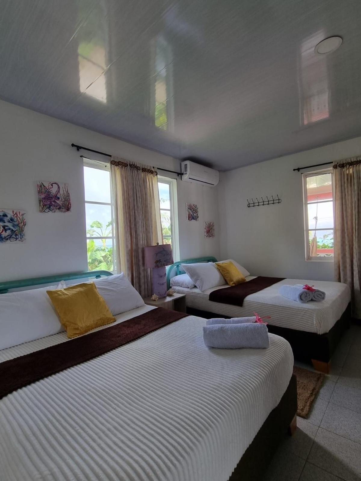 Halley View Summer House Homestay *