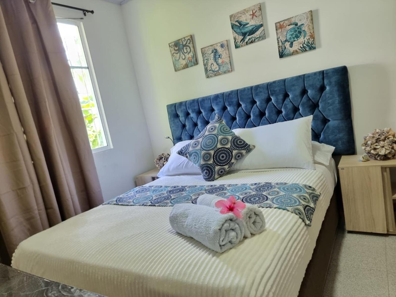 Halley View Summer House Homestay