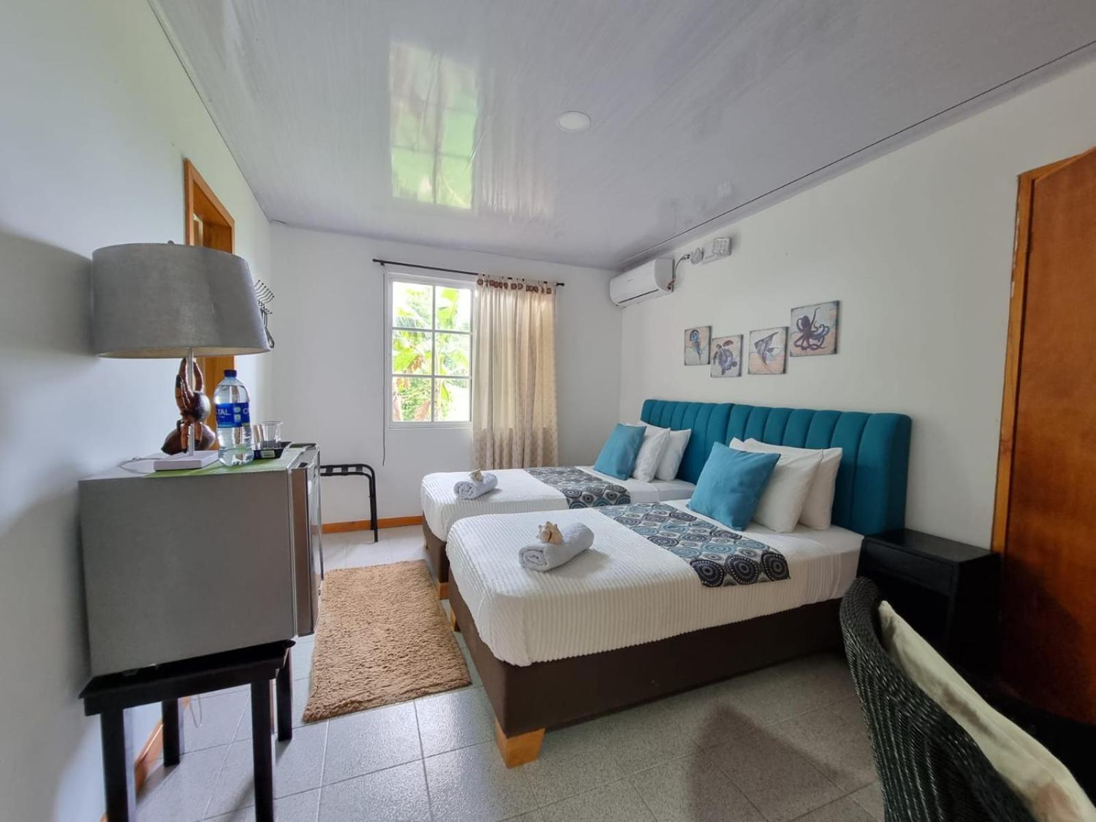 Halley View Summer House Homestay *